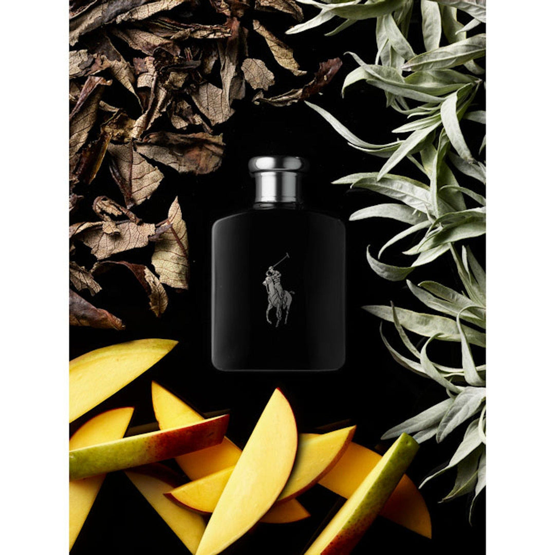 Ralph Lauren Polo Black Eau De Toilette Spray The Perfume Outlet